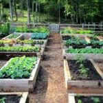 bedgardening